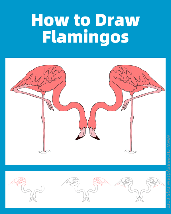 how to draw a pair of flamingos - www.cuteeasydrawings.com