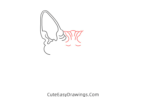 how to draw a sphynx cat face - www.cuteeasydrawings.com