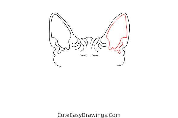 how to draw a sphynx cat face - www.cuteeasydrawings.com