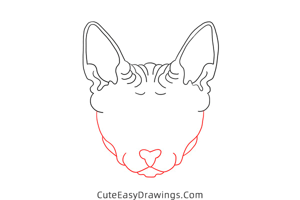 how to draw a sphynx cat face - www.cuteeasydrawings.com