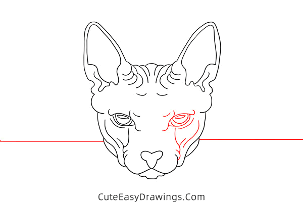 how to draw a sphynx cat face - www.cuteeasydrawings.com