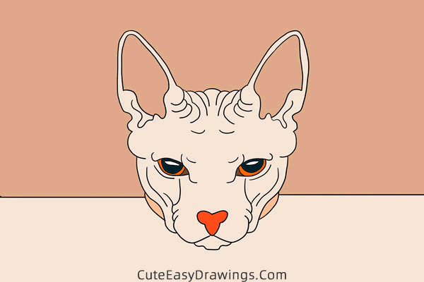 how to draw a sphynx cat face - www.cuteeasydrawings.com