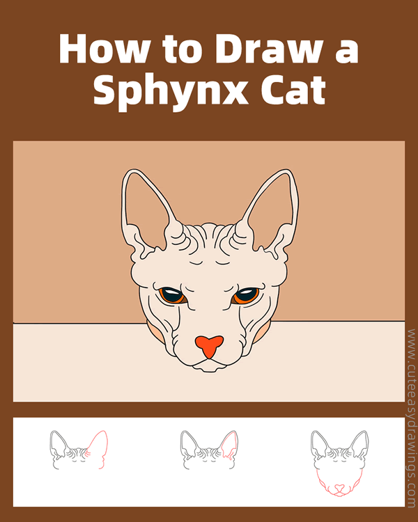 how to draw a sphynx cat face - www.cuteeasydrawings.com