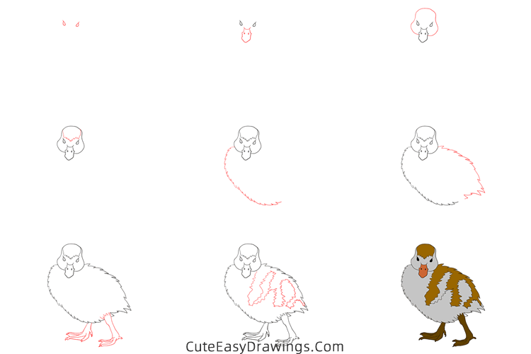 how to draw an egyptian goose - www.cuteeasydrawings.com