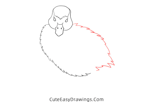 how to draw an egyptian goose - www.cuteeasydrawings.com