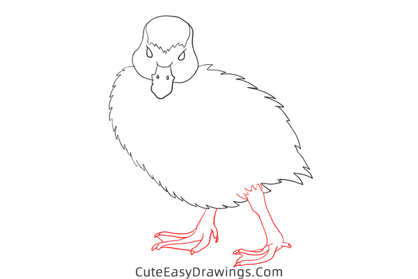 how to draw an egyptian goose - www.cuteeasydrawings.com