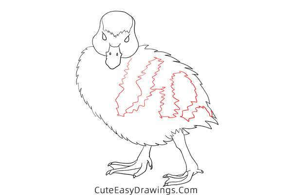 how to draw an egyptian goose - www.cuteeasydrawings.com