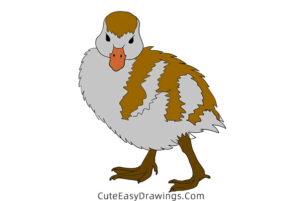 how to draw an egyptian goose - www.cuteeasydrawings.com