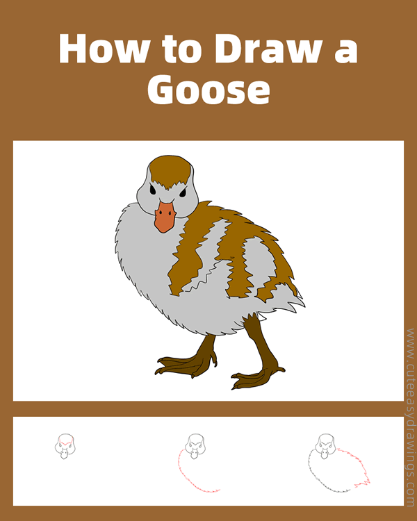 how to draw an egyptian goose - www.cuteeasydrawings.com