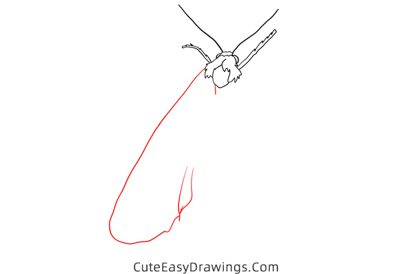 how to draw a moth - www.cuteeasydrawings.com