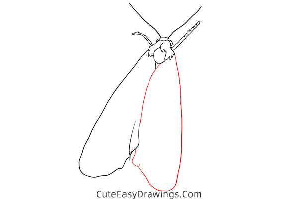 how to draw a moth - www.cuteeasydrawings.com