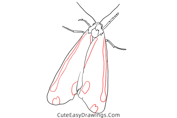 how to draw a moth - www.cuteeasydrawings.com