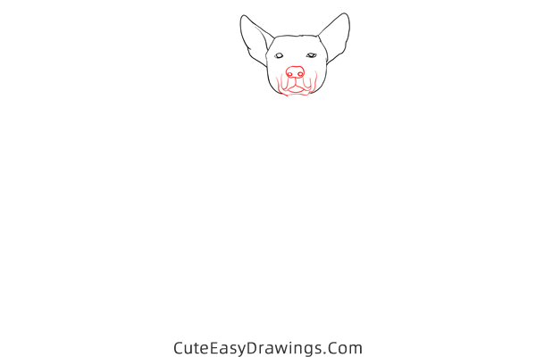 how to draw a realistic dog - www.cuteeasydrawings.com