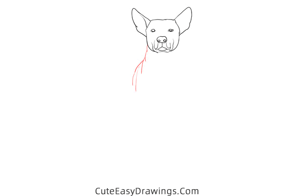 how to draw a realistic dog - www.cuteeasydrawings.com