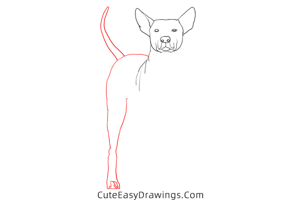 how to draw a realistic dog - www.cuteeasydrawings.com