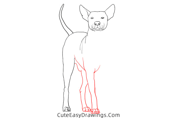 how to draw a realistic dog - www.cuteeasydrawings.com