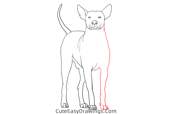 how to draw a realistic dog - www.cuteeasydrawings.com