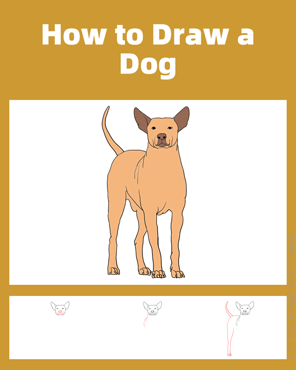 how to draw a realistic dog - www.cuteeasydrawings.com