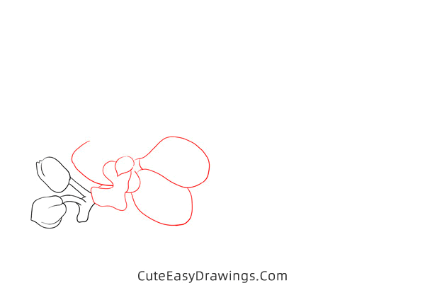 how to draw an orchid - www.cuteeasydrawings.com