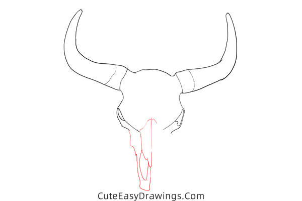 how to draw a cow skull - www.cuteeasydrawings.com