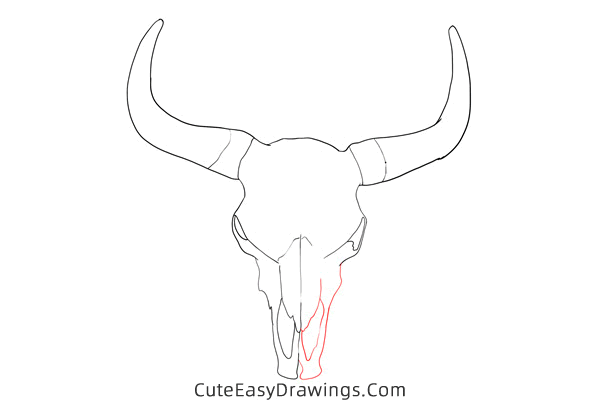 how to draw a cow skull - www.cuteeasydrawings.com