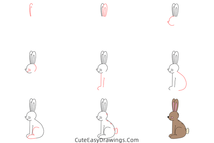 how to draw a hare - www.cuteeasydrawings.com