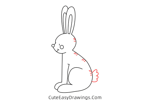 how to draw a hare - www.cuteeasydrawings.com