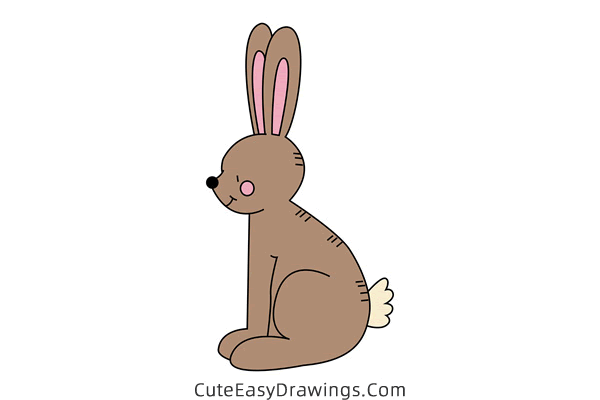 how to draw a hare - www.cuteeasydrawings.com