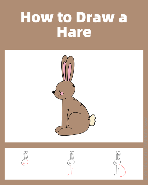 how to draw a hare - www.cuteeasydrawings.com