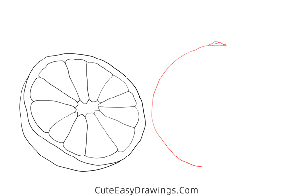 how to draw an orange - www.cuteeasydrawings.com