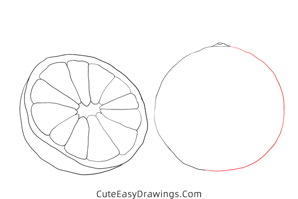 how to draw an orange - www.cuteeasydrawings.com