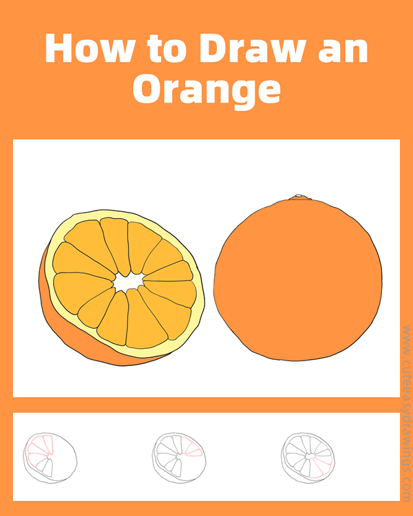 how to draw an orange - www.cuteeasydrawings.com