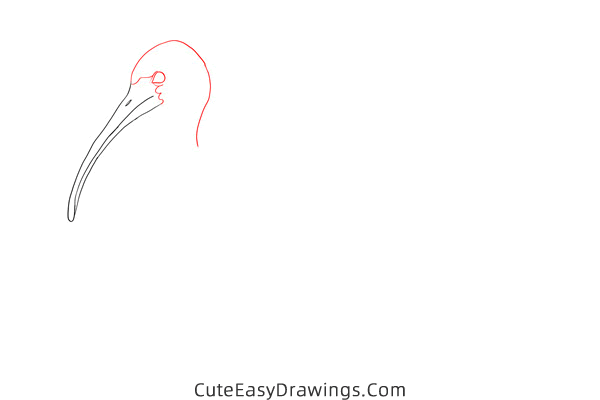 how to draw an ibis - www.cuteeasydrawings.com