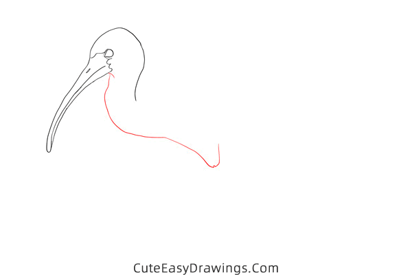 how to draw an ibis - www.cuteeasydrawings.com