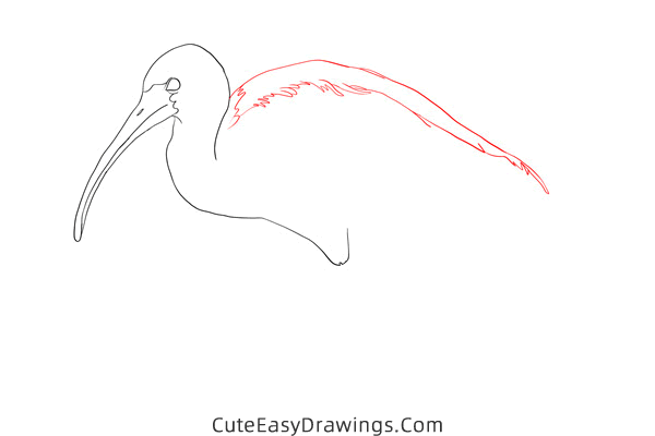 how to draw an ibis - www.cuteeasydrawings.com