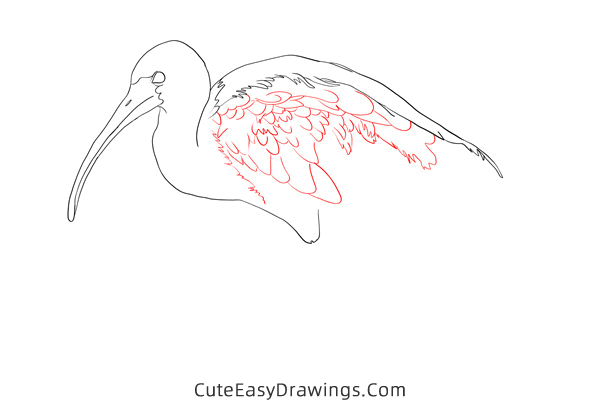 how to draw an ibis - www.cuteeasydrawings.com