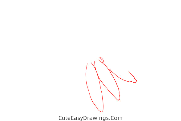 how to draw an echinacea flower - www.cuteeasydrawings.com