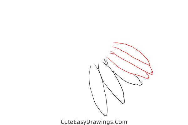 how to draw an echinacea flower - www.cuteeasydrawings.com