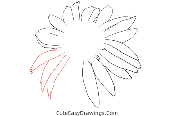 how to draw an echinacea flower - www.cuteeasydrawings.com