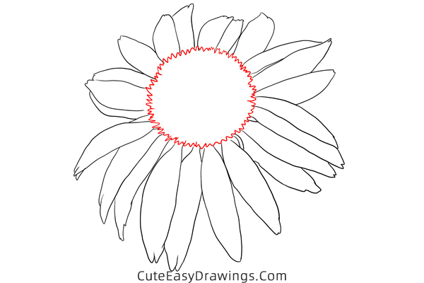 how to draw an echinacea flower - www.cuteeasydrawings.com