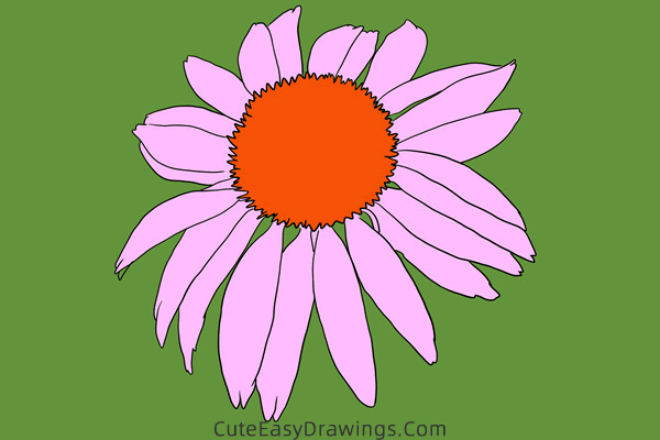 how to draw an echinacea flower - www.cuteeasydrawings.com