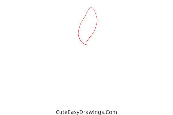 how to draw a realistic tulip flower - www.cuteeasydrawings.com