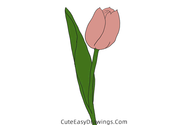 how to draw a realistic tulip flower - www.cuteeasydrawings.com