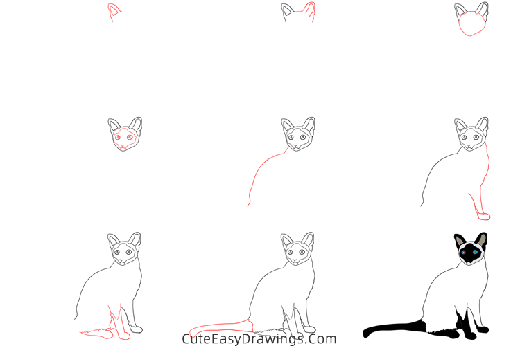 how to draw a siamese cat - www.cuteeasydrawings.com