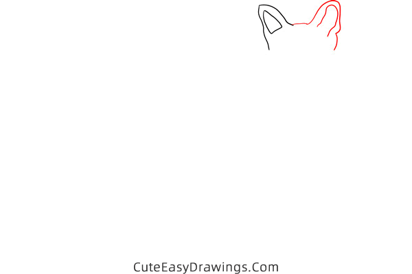 how to draw a siamese cat - www.cuteeasydrawings.com