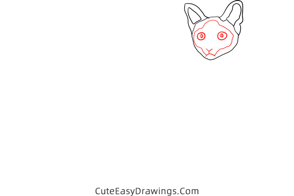 how to draw a siamese cat - www.cuteeasydrawings.com