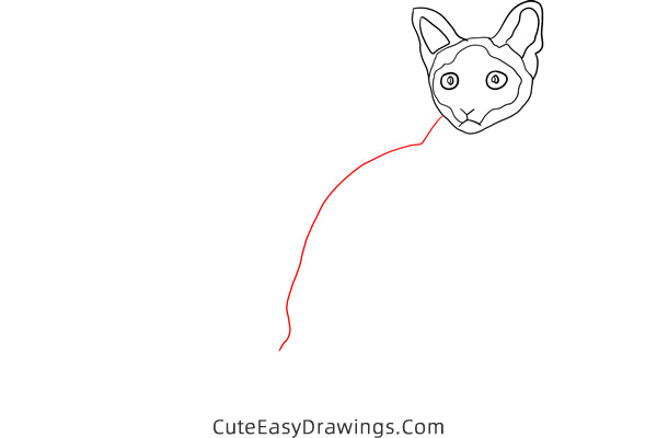 how to draw a siamese cat - www.cuteeasydrawings.com