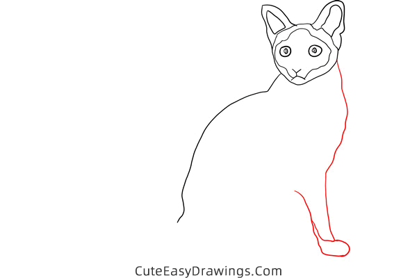 how to draw a siamese cat - www.cuteeasydrawings.com