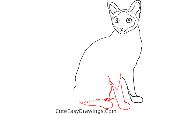 how to draw a siamese cat - www.cuteeasydrawings.com