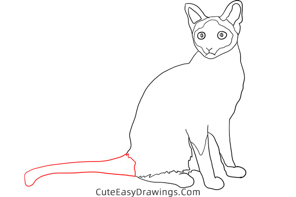 how to draw a siamese cat - www.cuteeasydrawings.com